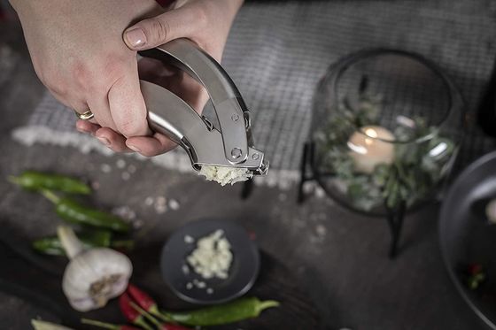 Đơn giản thép không gỉ tỏi nghiền Ginger Grater đồ dùng bếp đa bếp Grater