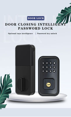 Bảo vệ cửa bằng khóa thông minh kỹ thuật số chạy pin và ứng dụng WiFi TTlock Tuya